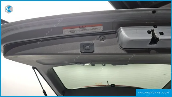 KIA CARNIVAL NEW CARNIVAL LIMOUSINE PRESIDENT