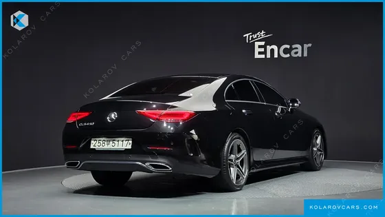 MERCEDES CLS-CLASS CLS300D AMG LINE