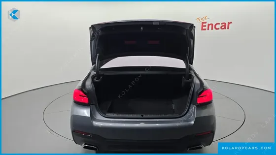BMW 5 SERIES 530E M SPORT