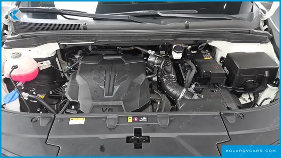 KIA CARNIVAL GASOLINE 7-SEATER HI LIMOUSINE