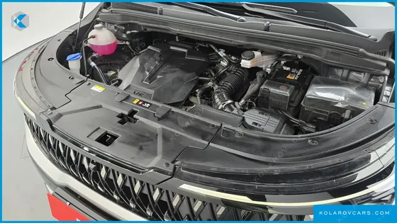 KIA CARNIVAL GASOLINE 7-SEATER HI LIMOUSINE