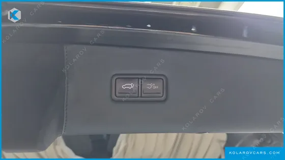 KIA CARNIVAL GASOLINE 9-SEATER HI LIMOUSINE (7-SEATER LIMOUSINE(SPECIAL VEHICLE)