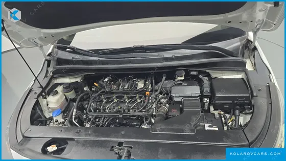 KIA CARNIVAL 9-SEATER PRSTIGE