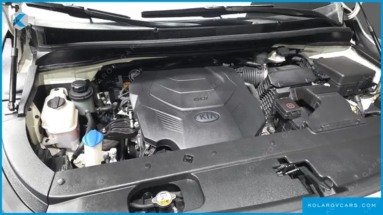 KIA CARNIVAL GASOLINE 9-SEATER LIMOUSINE(SPECIAL VEHICLE)