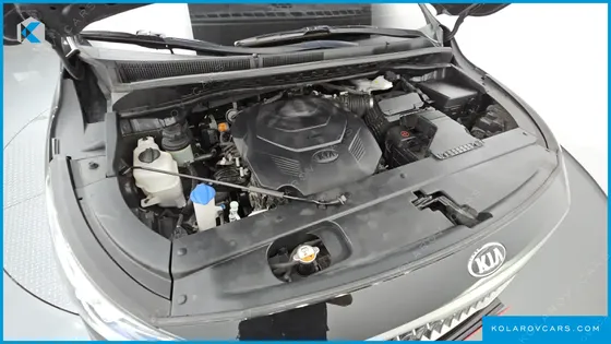 KIA CARNIVAL GASOLINE 9-SEATER LIMOUSINE(SPECIAL VEHICLE)