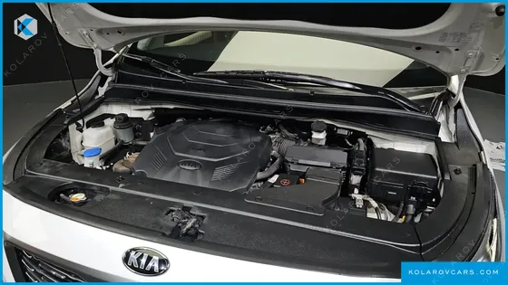 KIA CARNIVAL GASOLINE 7-SEATER HI-LIMOUSINE (SPECIAL)