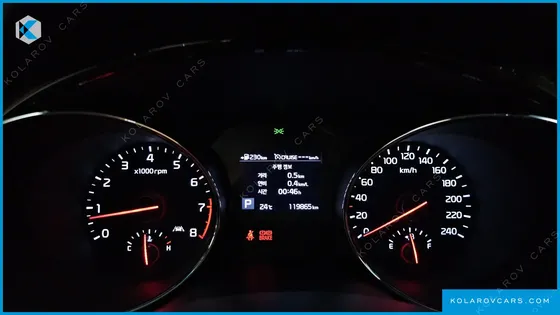 KIA CARNIVAL GASOLINE 7-SEATER HI-LIMOUSINE (SPECIAL)