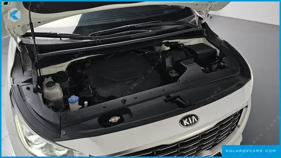 KIA CARNIVAL GASOLINE 9-SEATER LIMOUSINE(SPECIAL VEHICLE)