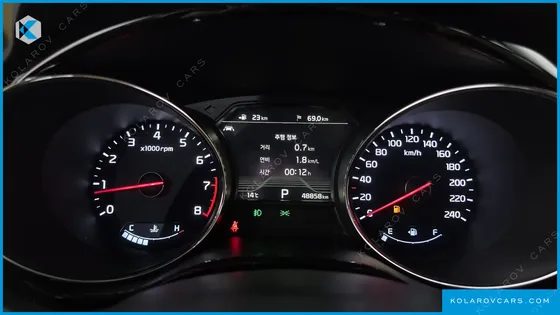 KIA CARNIVAL GASOLINE 9-SEATER HI-LIMOUSINE