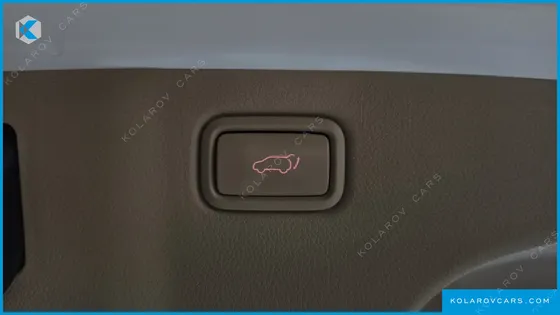 KIA CARNIVAL GASOLINE 9-SEATER HI-LIMOUSINE