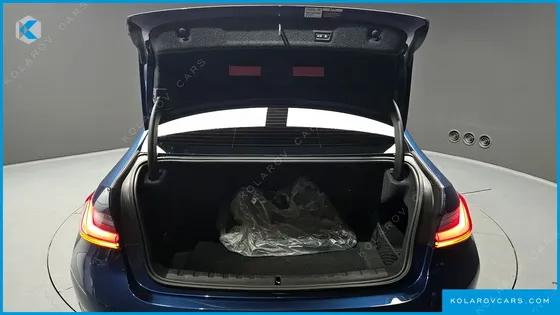 BMW 3 SERIES 320I LUXURY