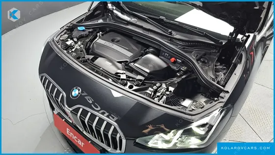 BMW 2 SERIES 220I LUXURY