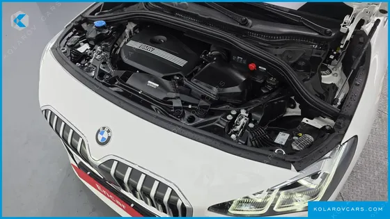 BMW 2 SERIES 220I LUXURY
