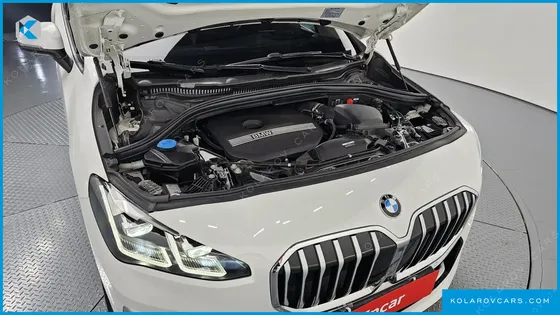 BMW 2 SERIES 220I LUXURY