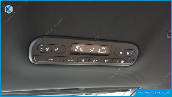 HYUNDAI PALISADE HEV 2.5T 4WD 9-SEATER