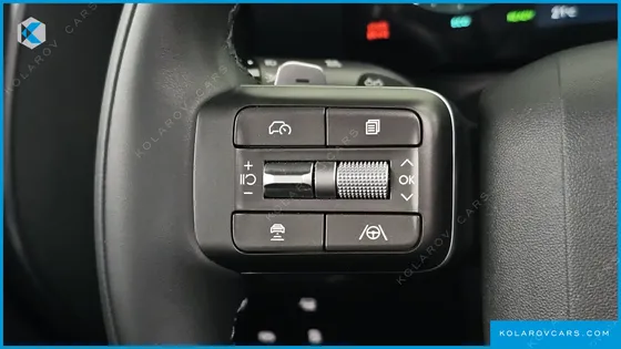 HYUNDAI PALISADE HEV 2.5T 4WD 9-SEATER