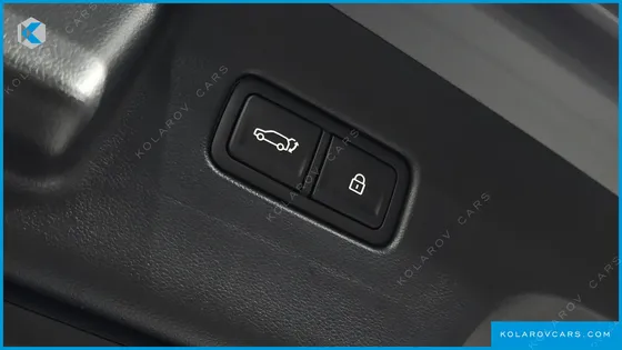 HYUNDAI PALISADE HEV 2.5T 4WD 9-SEATER