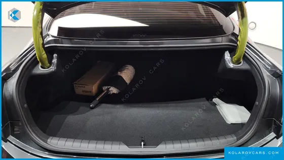 HYUNDAI SONATA 2.0 LPG(DISABLED)