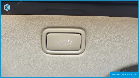 KIA CARNIVAL GASOLINE 7-SEATER HI-LIMOUSINE