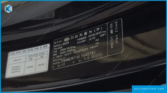 KIA CARNIVAL GASOLINE 7-SEATER HI-LIMOUSINE