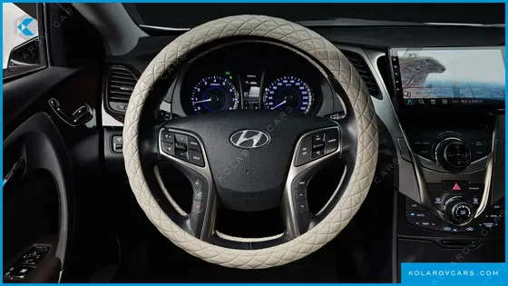 HYUNDAI GRANDEUR LPG HG300 HANDICAPPED ONLY