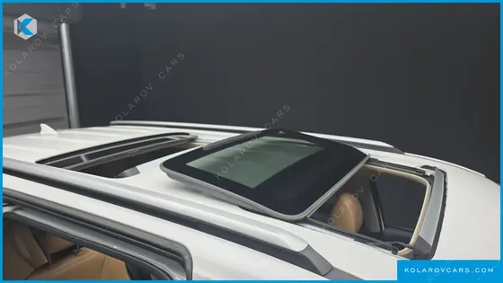 KIA CARNIVAL GASOLINE 9-SEATER SIGNATURE