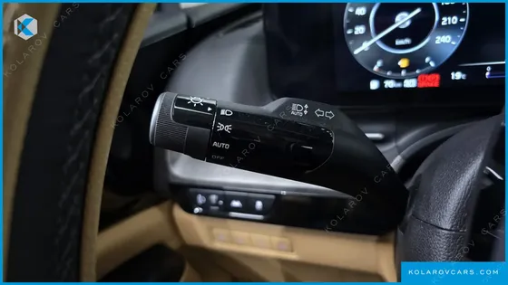 KIA CARNIVAL GASOLINE 9-SEATER PRESTIGE