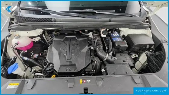 KIA CARNIVAL GASOLINE 7-SEATER NOBLESSE