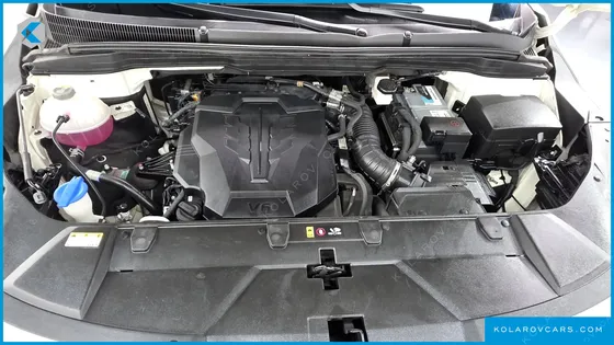 KIA CARNIVAL GASOLINE 11-SEATER PRESTIGE