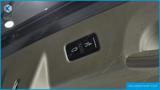 KIA CARNIVAL GASOLINE 9-SEATER SIGNATURE
