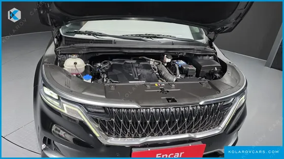 KIA CARNIVAL GASOLINE 9-SEATER NOBLESSE