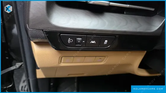 KIA CARNIVAL GASOLINE 9-SEATER NOBLESSE