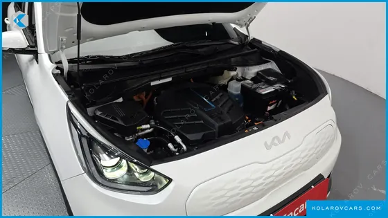 KIA NIRO EARTH