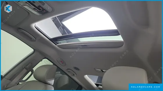 KIA CARNIVAL 9-SEATER LUXURY