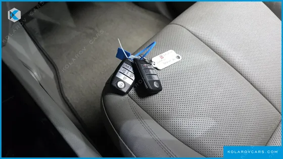 KIA CARNIVAL 9-SEATER NOBLESSE