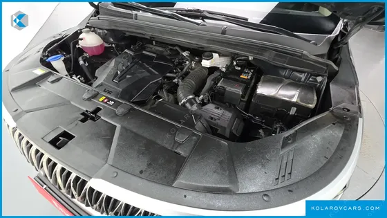 KIA CARNIVAL GASOLINE 11-SEATER PRESTIGE