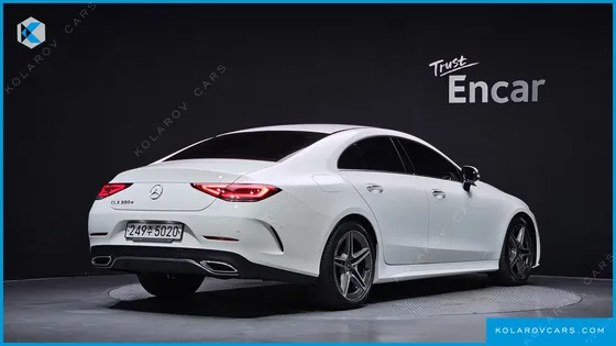 MERCEDES CLS-CLASS CLS300D AMG LINE