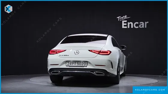 MERCEDES CLS-CLASS CLS300D AMG LINE