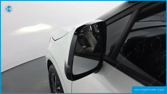KIA CARNIVAL GASOLINE 11-SEATER PRESTIGE