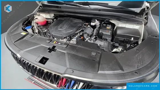 KIA CARNIVAL DIESEL 7-SEATER OUTDOOR