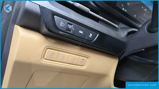 KIA CARNIVAL DIESEL 9-SEATER SIGNATURE