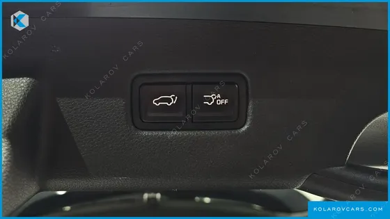 KIA CARNIVAL GASOLINE 9-SEATER SIGNATURE