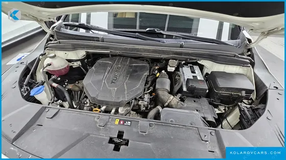 KIA CARNIVAL DIESEL 9-SEATER NOBLESSE