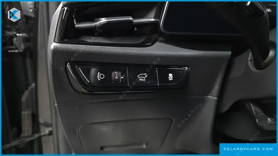 KIA NIRO EARTH