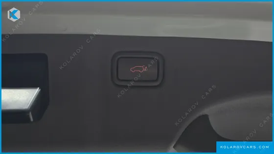 KIA CARNIVAL 9-SEATER PRESTIGE