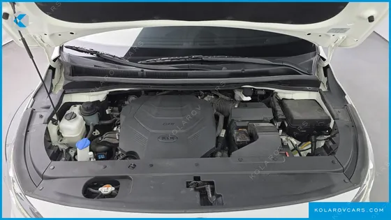 KIA CARNIVAL GASOLINE 7-SEATER HI-LIMOUSINE (SPECIAL)