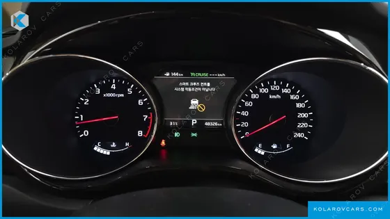 KIA CARNIVAL GASOLINE 7-SEATER HI-LIMOUSINE (SPECIAL)
