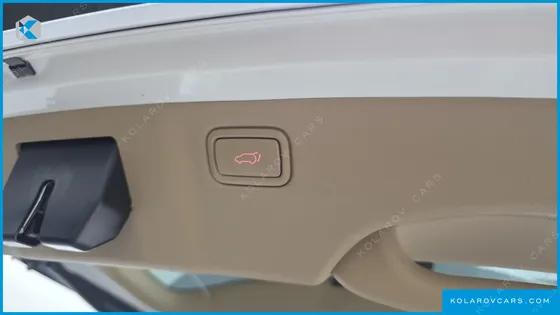 KIA CARNIVAL GASOLINE 7-SEATER HI-LIMOUSINE (SPECIAL)