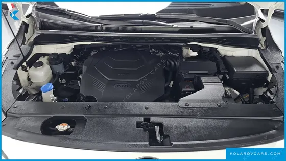 KIA CARNIVAL GASOLINE 7-SEATER LIMOUSINE