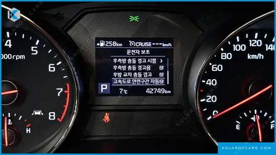 KIA CARNIVAL GASOLINE 7-SEATER LIMOUSINE
